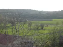 Bild zur gratis inserierten Ferienwohnung Ferienwohnung-657921.