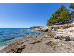 Bild zur gratis inserierten Ferienwohnung Ferienwohnung-695351.