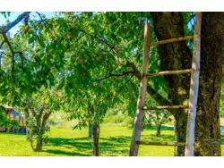 Bild zur gratis inserierten Ferienwohnung Ferienhaus-713865.