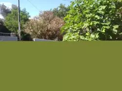 Bild zur gratis inserierten Ferienwohnung Ferienwohnung-748726.