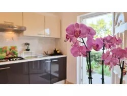 Bild zur gratis inserierten Ferienwohnung Ferienwohnung-1139255.