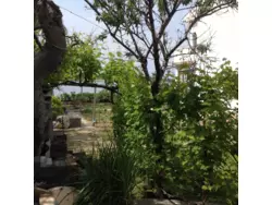 Bild zur gratis inserierten Ferienwohnung Ferienwohnung-1179850.