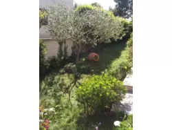 Bild zur gratis inserierten Ferienwohnung Ferienwohnung-1198879.