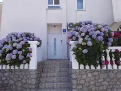 Bild zur gratis inserierten Ferienwohnung Ferienwohnung-1252915.