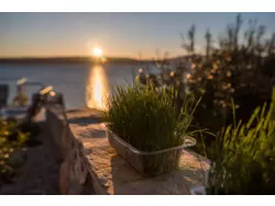 Bild zur gratis inserierten Ferienwohnung Ferienhaus-1272942.