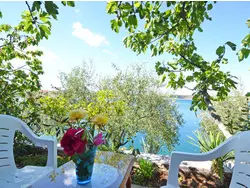 Bild zur gratis inserierten Ferienwohnung Ferienwohnung-1295491.