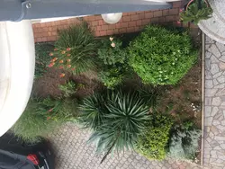 Bild zur gratis inserierten Ferienwohnung Ferienwohnung-1311165.