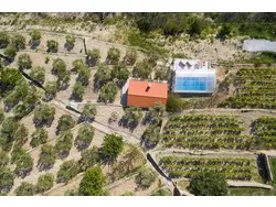 Bild zur gratis inserierten Ferienwohnung Ferienhaus-1321062.