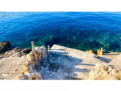 Bild zur gratis inserierten Ferienwohnung Ferienhaus-1327519.