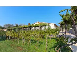 Bild zur gratis inserierten Ferienwohnung Ferienwohnung-1330059.