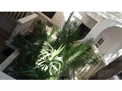 Bild zur gratis inserierten Ferienwohnung Ferienwohnung-1346535.