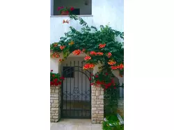 Bild zur gratis inserierten Ferienwohnung Ferienwohnung-1424640.