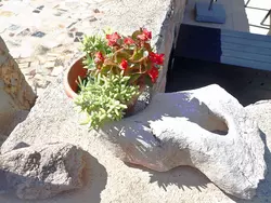 Bild zur gratis inserierten Ferienwohnung Ferienwohnung-1439842.