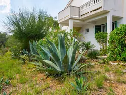 Bild zur gratis inserierten Ferienwohnung Ferienwohnung-1493756.