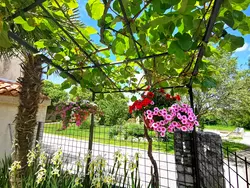 Bild zur gratis inserierten Ferienwohnung Ferienwohnung-1503674.