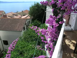 Bild zur gratis inserierten Ferienwohnung Ferienwohnung-1513540.