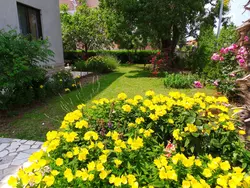 Bild zur gratis inserierten Ferienwohnung Ferienwohnung-1559231.