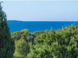 Bild zur gratis inserierten Ferienwohnung Ferienhaus-1577500.