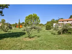 Bild zur gratis inserierten Ferienwohnung Ferienhaus-1594720.