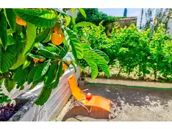 Bild zur gratis inserierten Ferienwohnung Ferienwohnung-1619898.