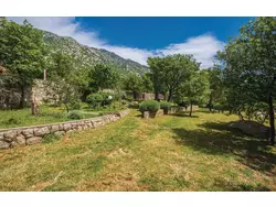 Bild zur gratis inserierten Ferienwohnung Ferienwohnung-1632852.