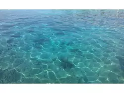 Bild zur gratis inserierten Ferienwohnung Ferienhaus-1648275.