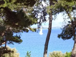 Bild zur gratis inserierten Ferienwohnung Ferienwohnung-1649306.