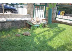 Bild zur gratis inserierten Ferienwohnung Ferienwohnung-1674635.