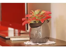 Bild zur gratis inserierten Ferienwohnung Ferienwohnung-1839414.