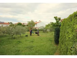 Bild zur gratis inserierten Ferienwohnung Ferienhaus-1910668.