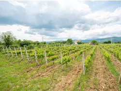 Bild zur gratis inserierten Ferienwohnung Ferienhaus-3301800.