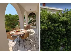 Ferienwohnung Ferienwohnung-3243701 in Općina Župa dubrovačka - 6 Personen, Hund nicht erlaubt