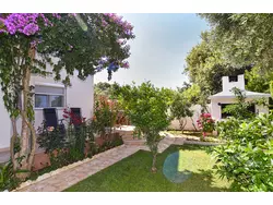 Bild zur gratis inserierten Ferienwohnung Ferienhaus-3479576.