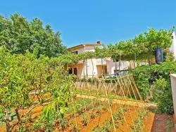 Bild zur gratis inserierten Ferienwohnung Ferienwohnung-3438879.