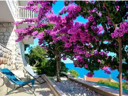 Bild zur gratis inserierten Ferienwohnung Ferienwohnung-3499759.