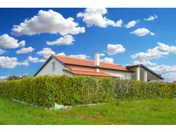 Bild zur gratis inserierten Ferienwohnung Ferienhaus-2273089.