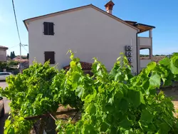 Bild zur gratis inserierten Ferienwohnung Ferienwohnung-3468263.