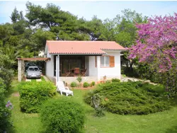 Bild zur gratis inserierten Ferienwohnung Ferienhaus-3499264.