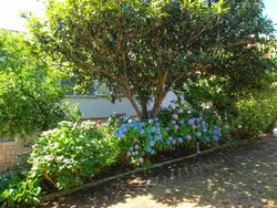 Bild zur gratis inserierten Ferienwohnung Ferienwohnung-3418625.