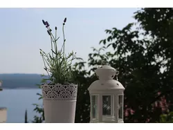 Bild zur gratis inserierten Ferienwohnung Ferienwohnung-2177493.