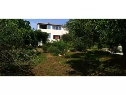 Bild zur gratis inserierten Ferienwohnung Ferienwohnung-3308368.