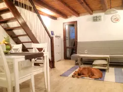 Bild zur gratis inserierten Ferienwohnung Ferienhaus-3236790.