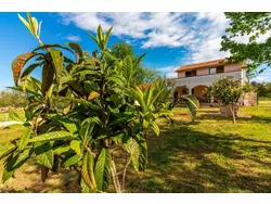 Bild zur gratis inserierten Ferienwohnung Ferienhaus-3538550.