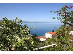 Bild zur gratis inserierten Ferienwohnung Ferienwohnung-1528623.