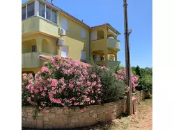 Ferienwohnung Ferienwohnung-971170 in Općina Ližnjan - 6 Personen, Hund erlaubt