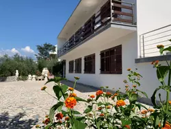 Bild zur gratis inserierten Ferienwohnung Ferienwohnung-2240314.