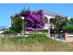 Bild zur gratis inserierten Ferienwohnung Ferienwohnung-394586.