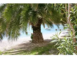 Bild zur gratis inserierten Ferienwohnung Ferienwohnung-1649174.