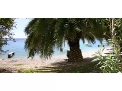 Bild zur gratis inserierten Ferienwohnung Ferienwohnung-1649173.