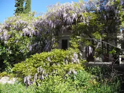 Bild zur gratis inserierten Ferienwohnung Ferienhaus-1487795.